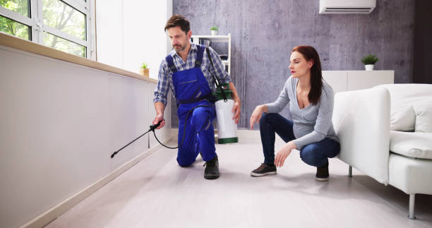 Best Pest Control for Multi-Family Homes  in Keene, NH